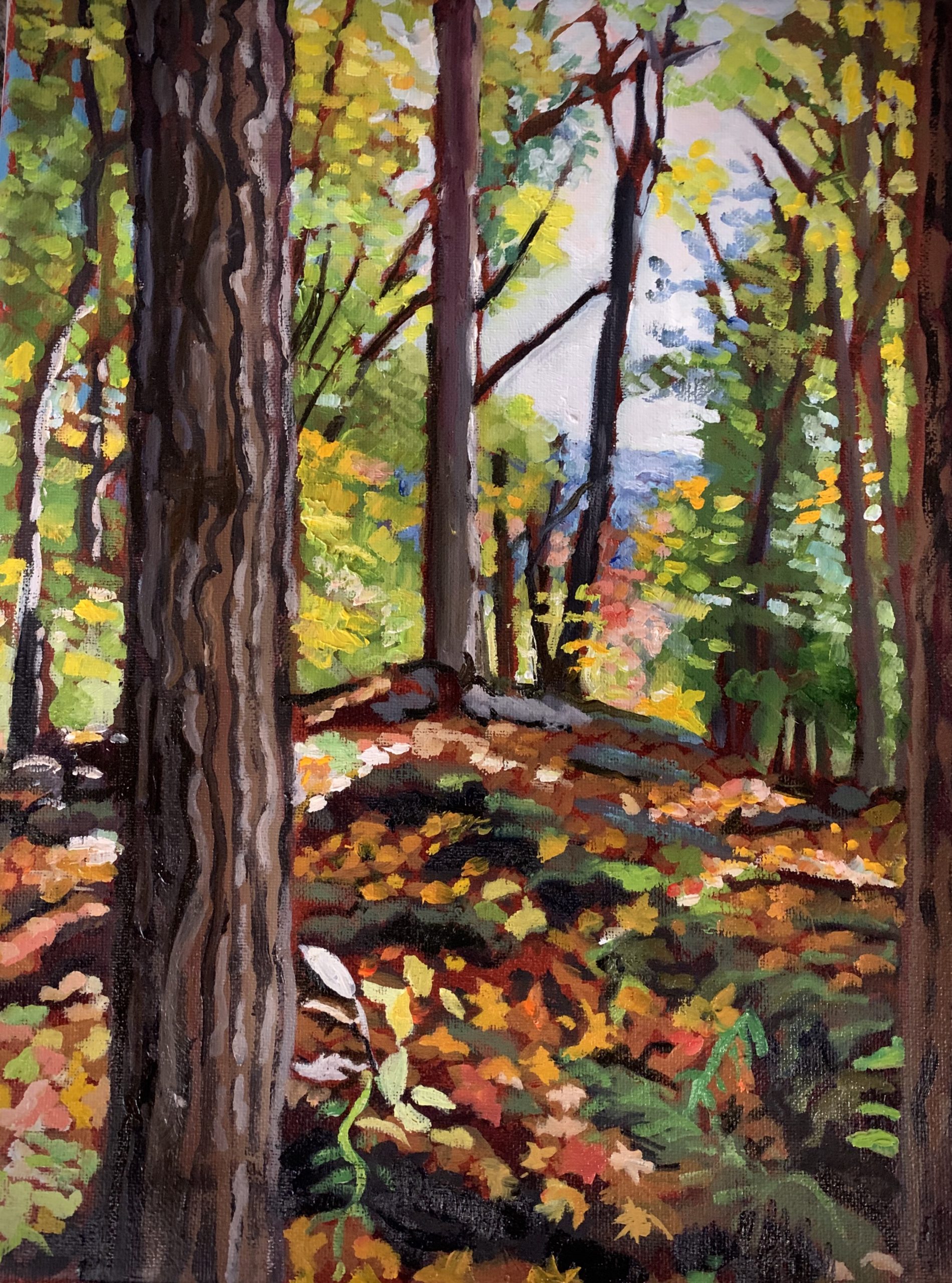 Fall View through the Woods, Rattlesnake Point Provincial Park